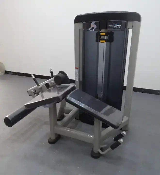 Leg Curl Machine: Tighten Posterior Thighs best